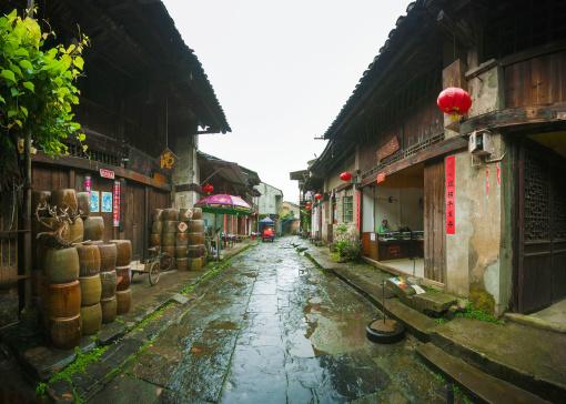动物帮帮忙保卫家园